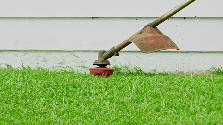 Lawn Grading and Leveling in Palacios, TX