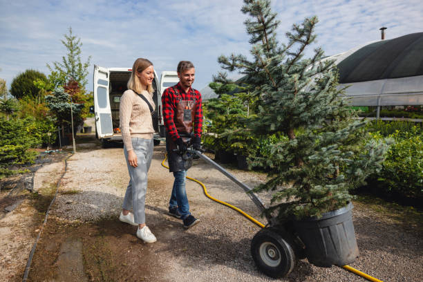 How Our Tree Care Process Works  in  Palacios, TX